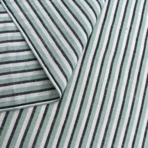 3037 Aqua Stripe